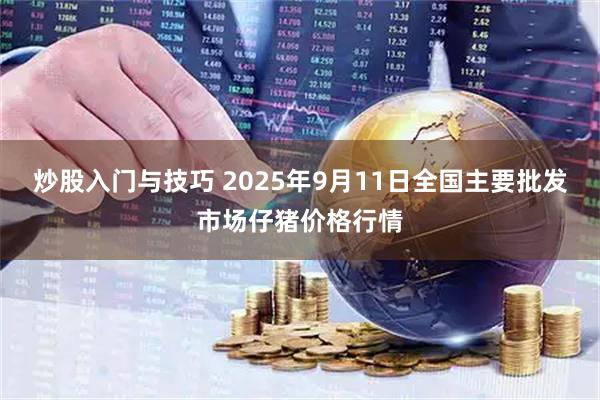 炒股入门与技巧 2025年9月11日全国主要批发市场仔猪价格行情