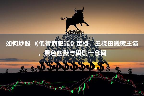 如何炒股 《低智商犯罪》定档，王骁田曦薇主演，黑色幽默与闹剧一念间